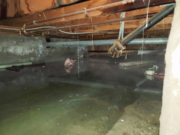 Water damage restoration insurance claims in AL
