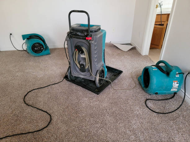 Best Residential water damage restoration  in Clay, AL
