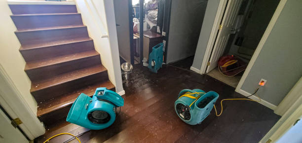 Best Water damage restoration insurance claims  in Clay, AL