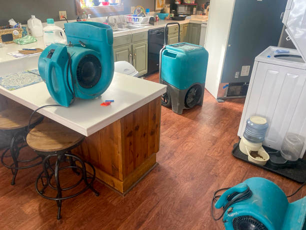 Best Water damage restoration mold remediation  in Clay, AL