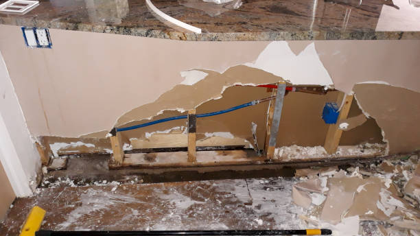 Best Water damage cleanup near me  in Clay, AL