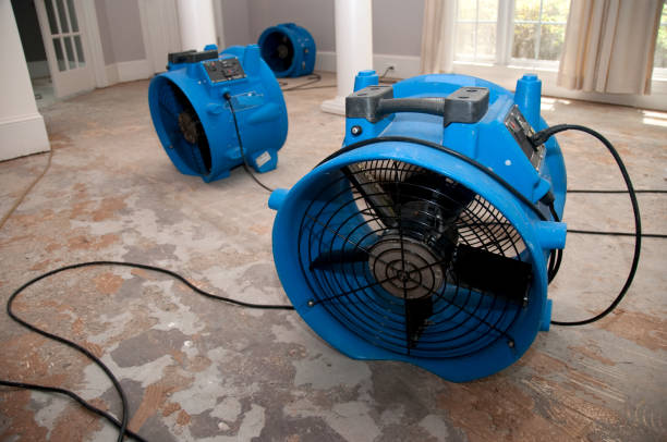 Professional Water damage restoration in AL