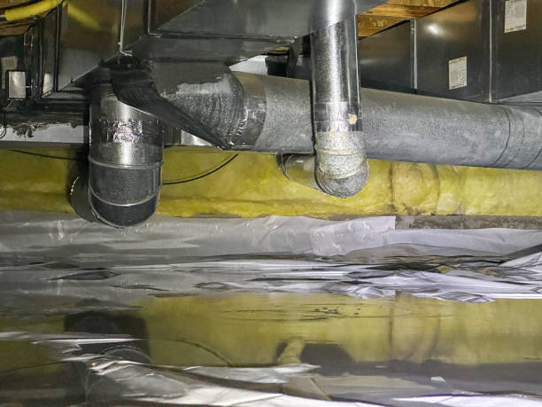Best Flooded house restoration  in Clay, AL