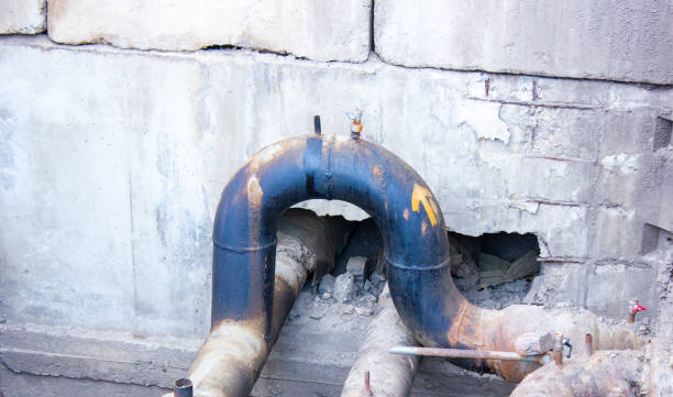 Best Flood restoration services  in Clay, AL